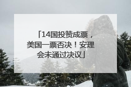 14国投赞成票，美国一票否决！安理会未通过决议
